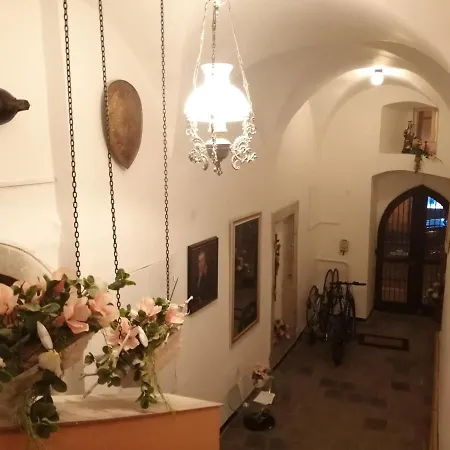 Deluxe Apartment Cheb