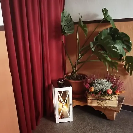 Deluxe Apartment Cheb
