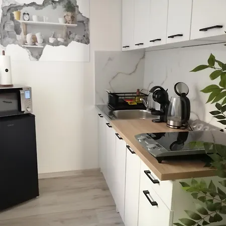Appartement Deluxe Cheb