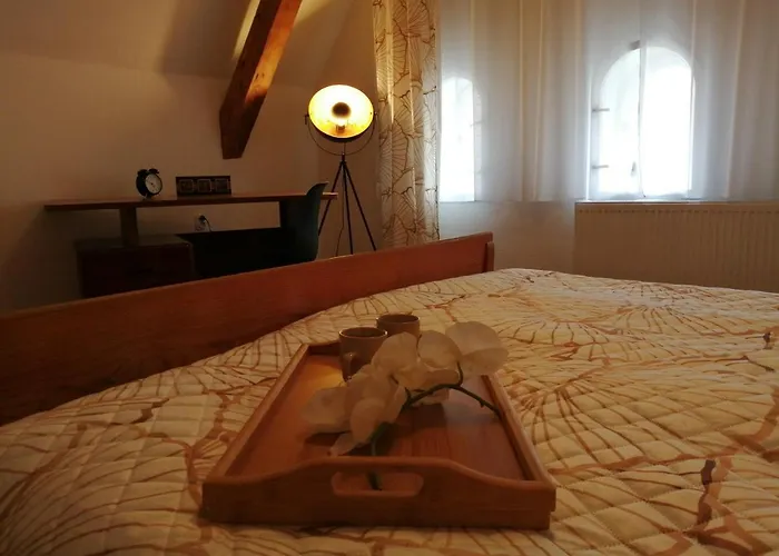 Deluxe Lejlighed Cheb